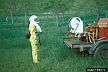A women preparing to spray for mosquitos. (Larry R. Barber, USDA Forest Service, Bugwood.org)