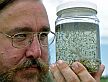 Mike Jenkins, a biological sciences technician with the City of Edmonton, examines a jar of mosquito larvae.